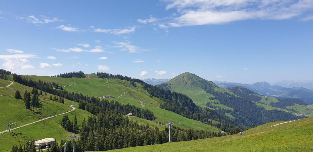 Ferienwohnung Sappl Шеффау-ам-Вильден-Кайзер Экстерьер фото